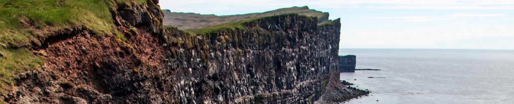 Látrabjarg, la falaise aux oiseaux dans l'Ouest de l'Islande