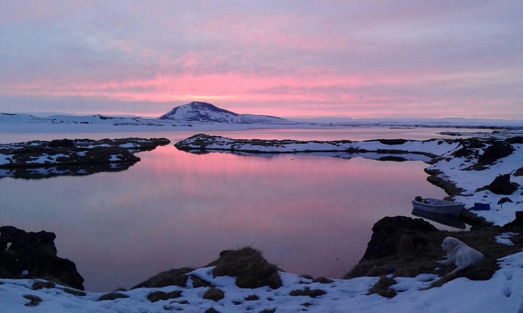 Lac Mývatn en Islande