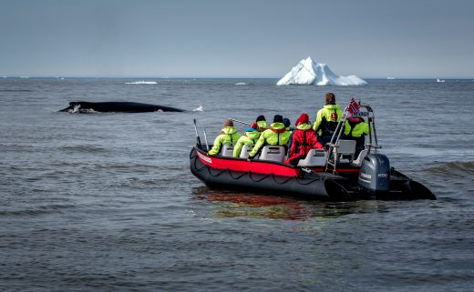 Whale safari with MS Fram guests near Qeqertarsuaq in Greenland ©Mads Pihl