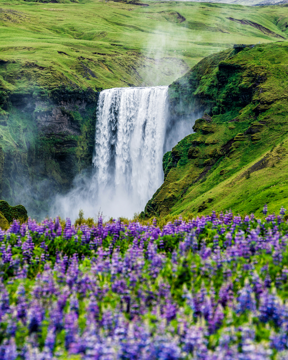 VOLCANS, GLACIERS & DÉSERTS D’ISLANDE