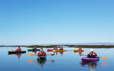 Kayak depuis Stokkseyri
