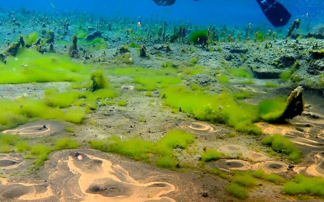 Snorkeling au milieu de Sables Bouillonnants