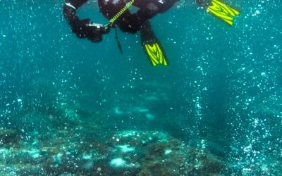 Snorkeling au milieu de Sables Bouillonnants