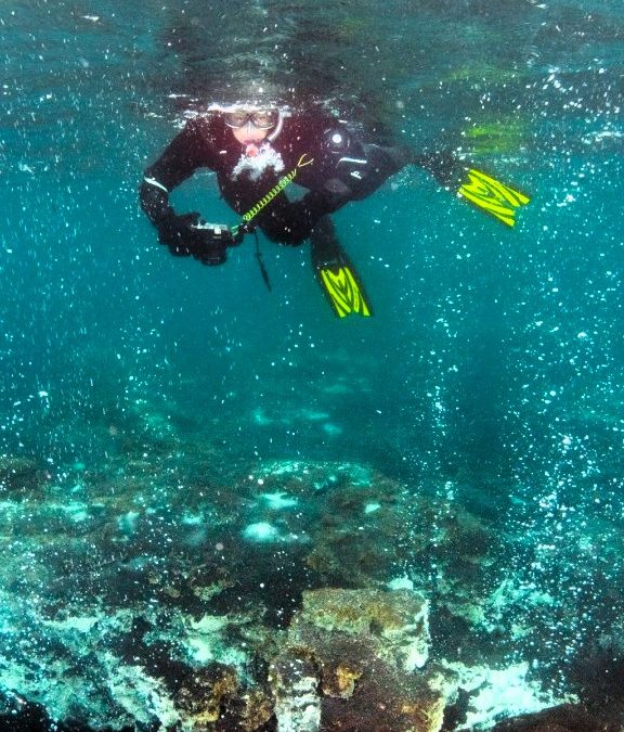 Snorkeling au milieu de Sables Bouillonnants