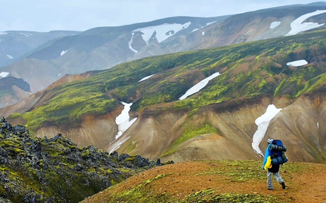 Randonnée au Landmannalaugar (journée supplémentaire)