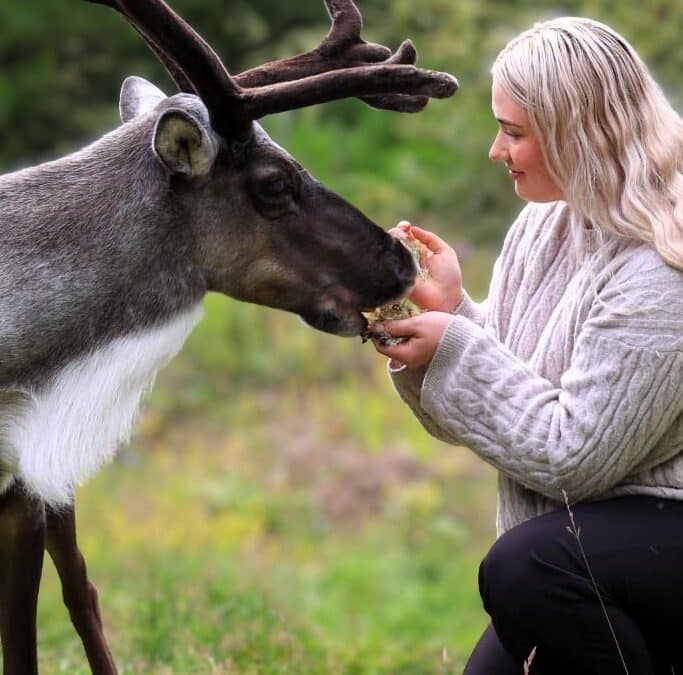 Reindeer Park